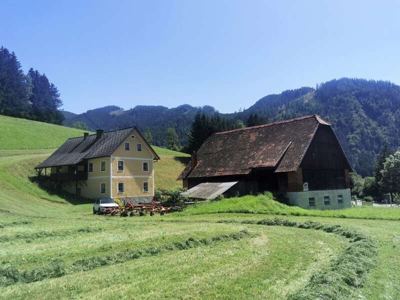 Bauernhof in Palbersdorf - Bild 3