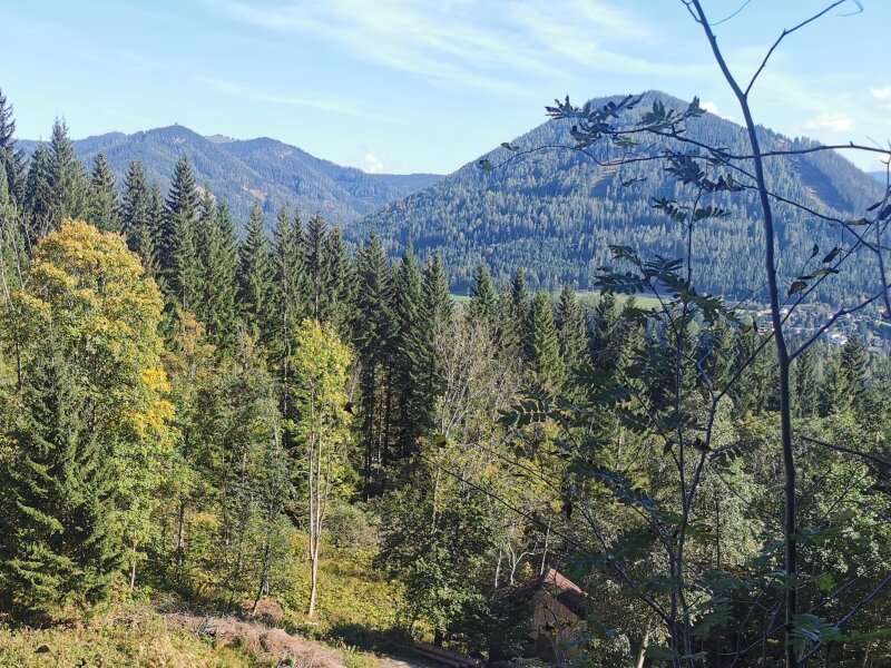 Baugrundstück in Spital am Semmering - Bild 3