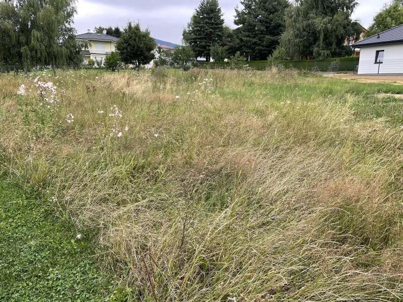 Grundstück in Dechantskirchen - Bild 2
