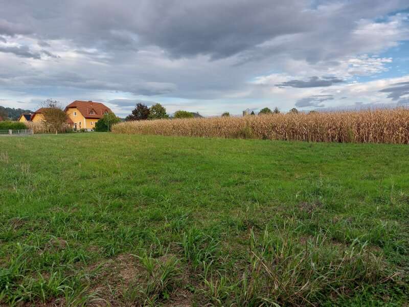 Baugrundstück in Wildon - Bild 2