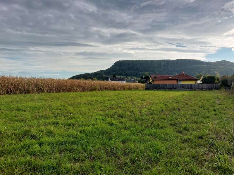 Baugrundstück in Wildon - Bild 3