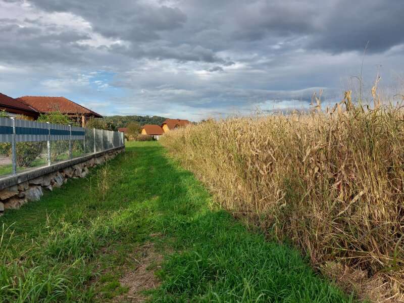 Baugrundstück in Wildon - Bild 6