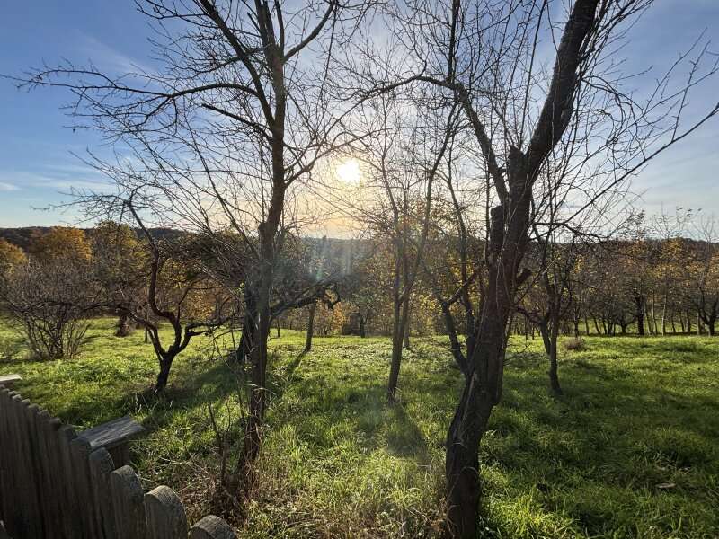 Landwirtschaftsgrund in Ruppersdorf - Bild 3