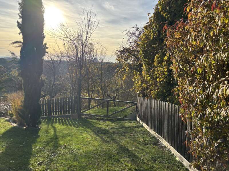 Landwirtschaftsgrund in Ruppersdorf - Bild 5