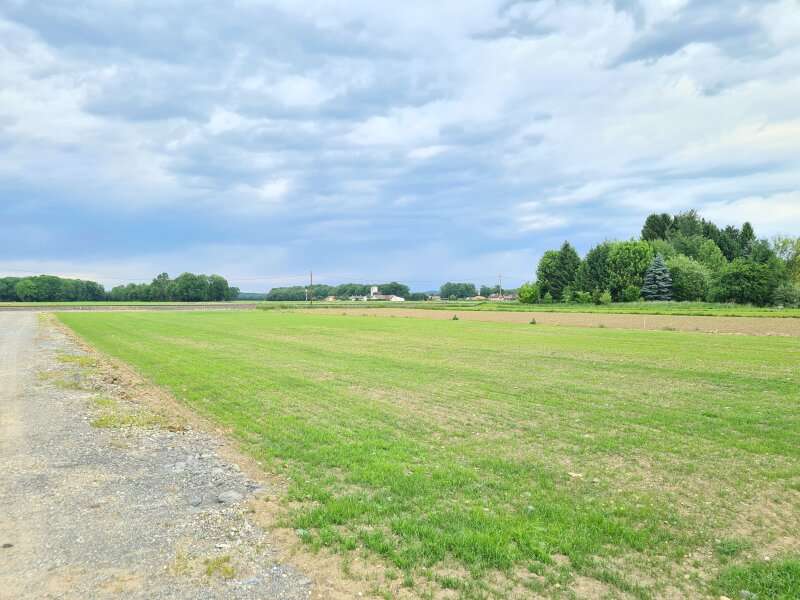 Landwirtschaftsgrund in Straß in Steiermark - Bild 3 Landwirtschaftsgrund in Straß in Steiermark - Bild 3