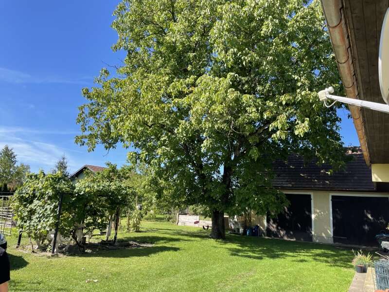 Bauernhaus in Bachsdorf - Bild 3