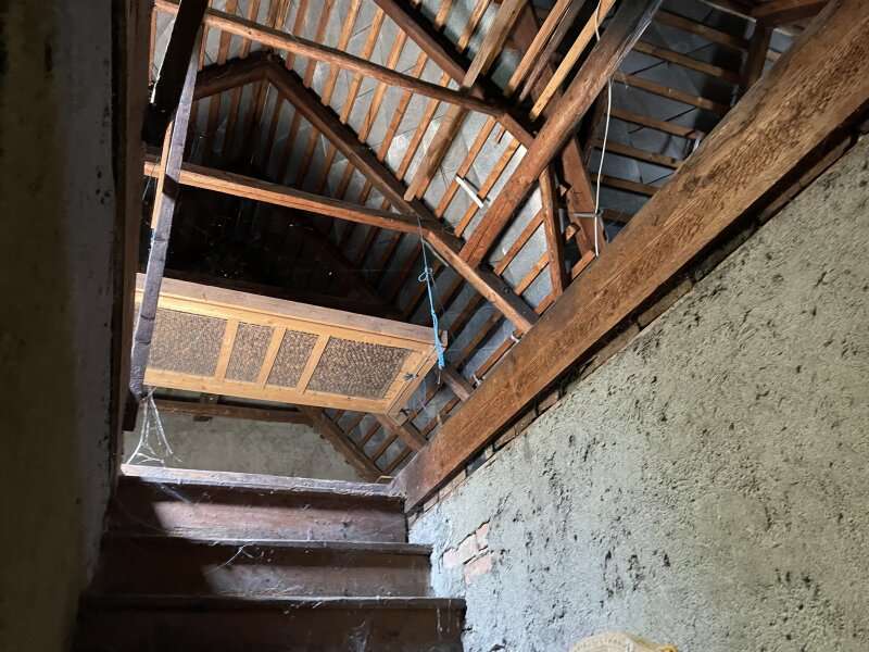 Bauernhaus in Bachsdorf - Bild 5