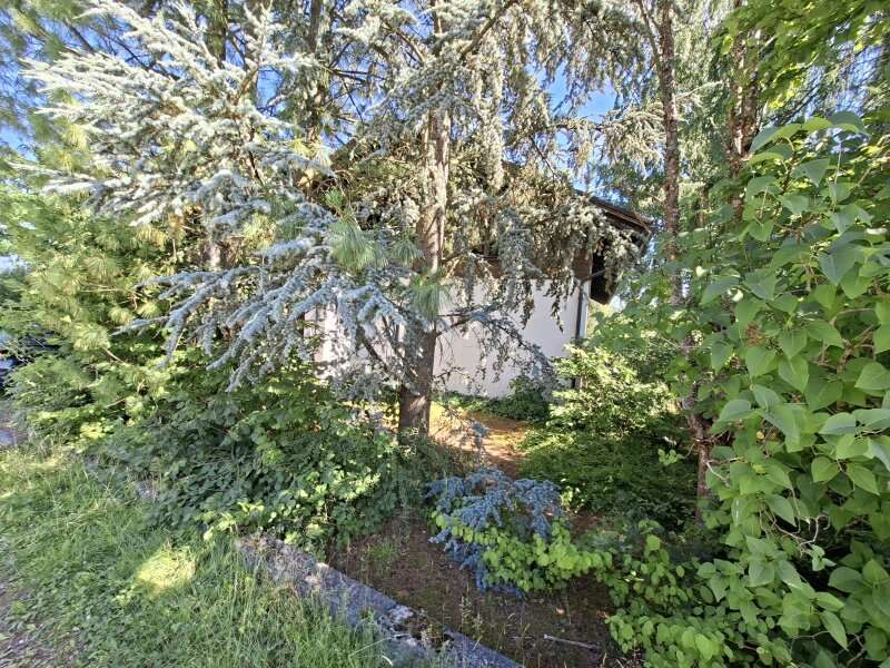 Einfamilienhaus Sankt Lorenzen im Mürztal: 15711-Außenansicht 15711-Außenansicht