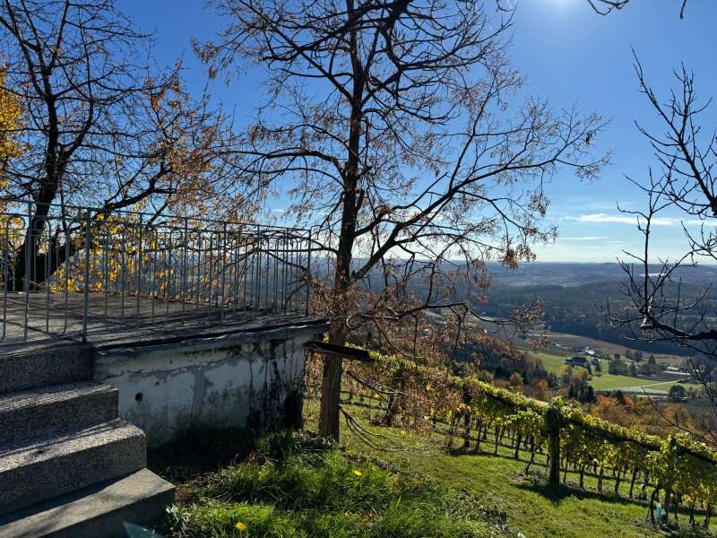 Ferienhaus in Reichendorf - Bild 2 Ferienhaus in Reichendorf - Bild 2