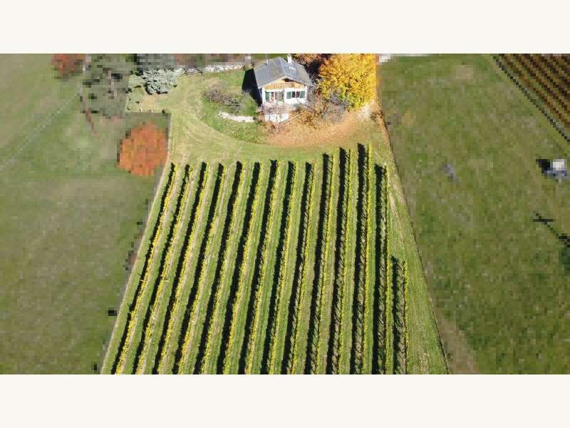 Ferienhaus in Reichendorf - Bild 13 Ferienhaus in Reichendorf - Bild 13