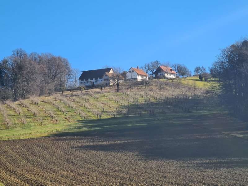 Bauernhaus in Sankt Peter am Ottersbach - Bild 10