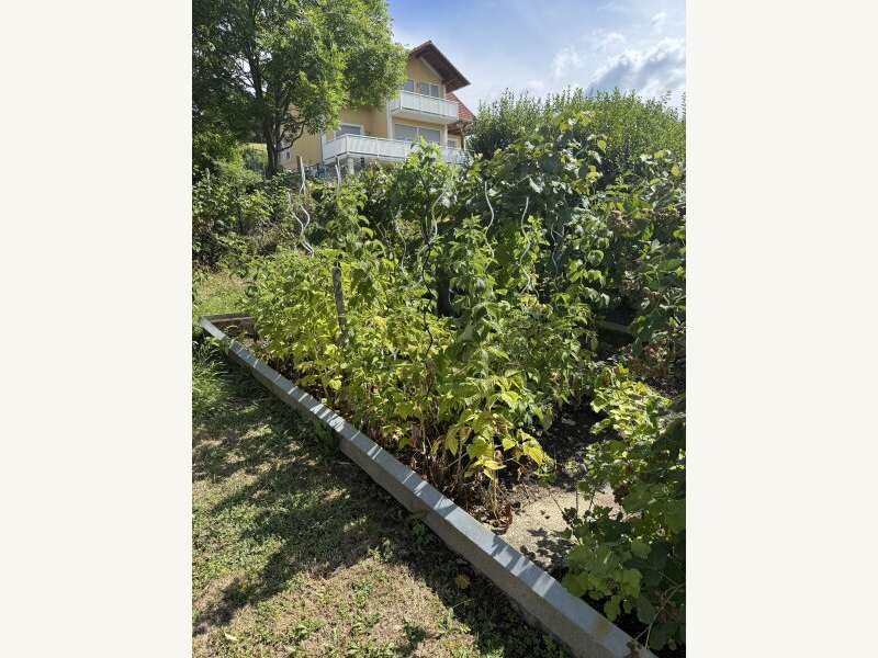Mietwohnung in Gamlitz - Bild 10