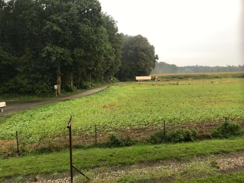 Mietwohnung in Straß in Steiermark - Bild 4