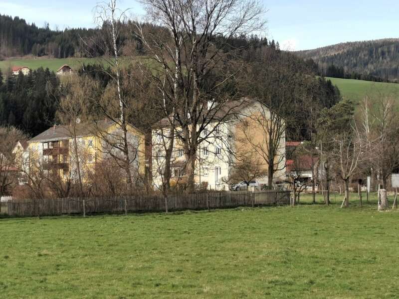 Eigentumswohnung in Langenwang - Bild 2