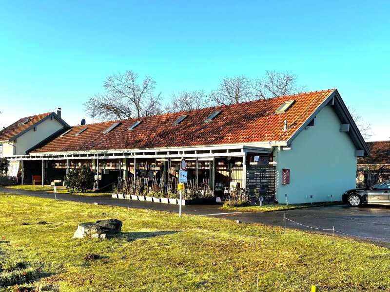 Galeriewohnung in Bad Radkersburg - Bild 9