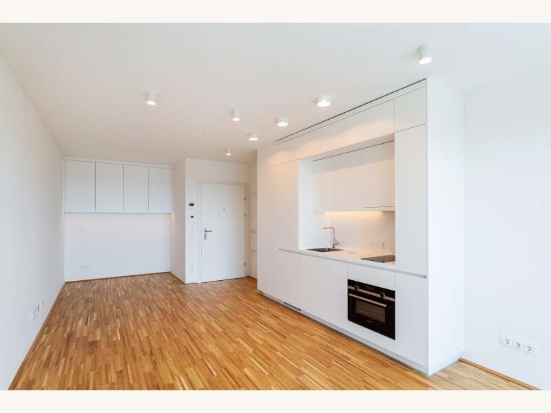 Apartement in Wien - Bild 5