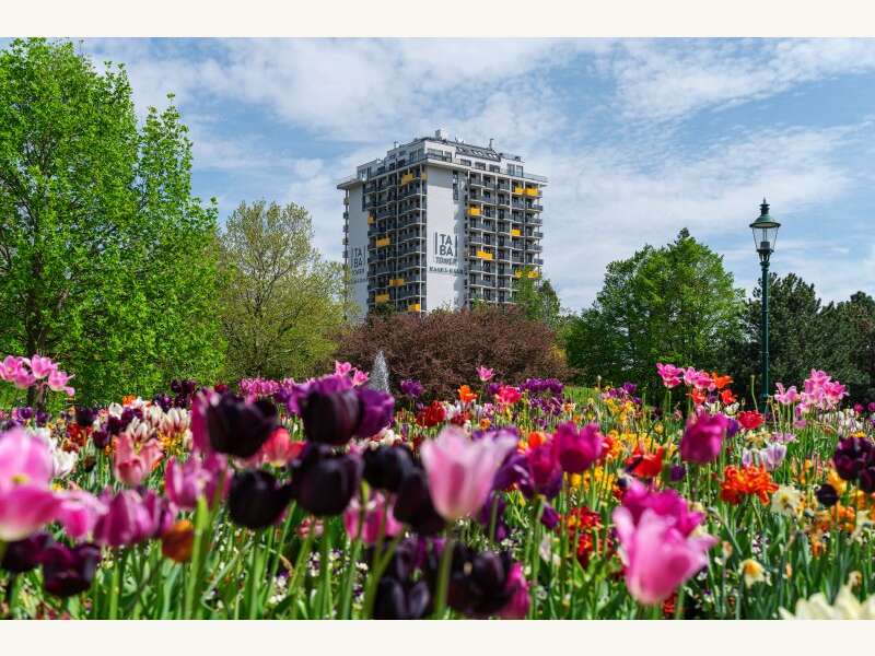 Apartement in Wien - Bild 17