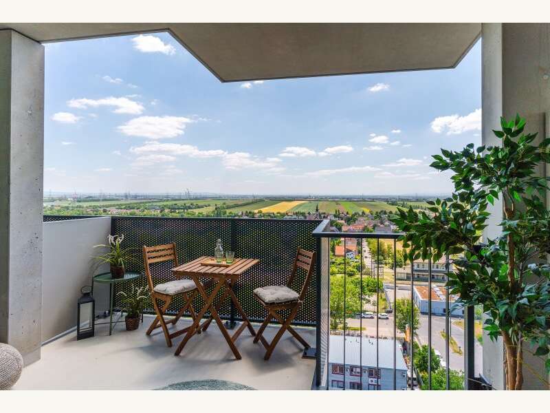 Mietwohnung in Wien - Bild 4