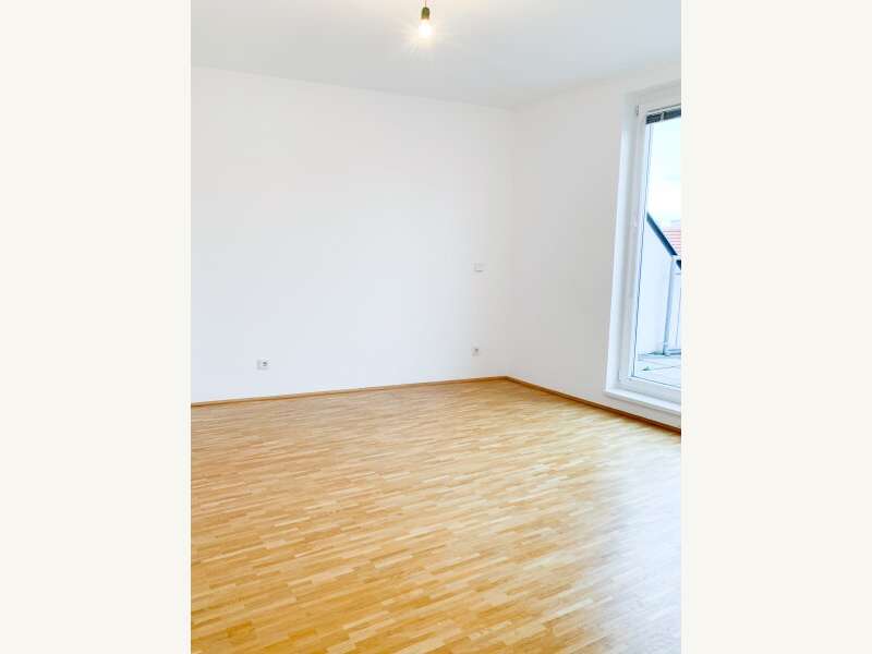 Dachgeschosswohnung in Wien - Bild 6