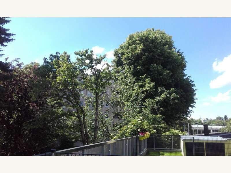 Mietwohnung in Wien - Bild 17