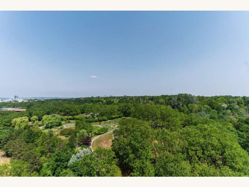 Wohnung in Wien - Bild 12 Wohnung in Wien - Bild 12