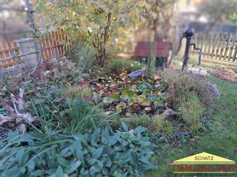 Haus Weiz: Biotop Biotop