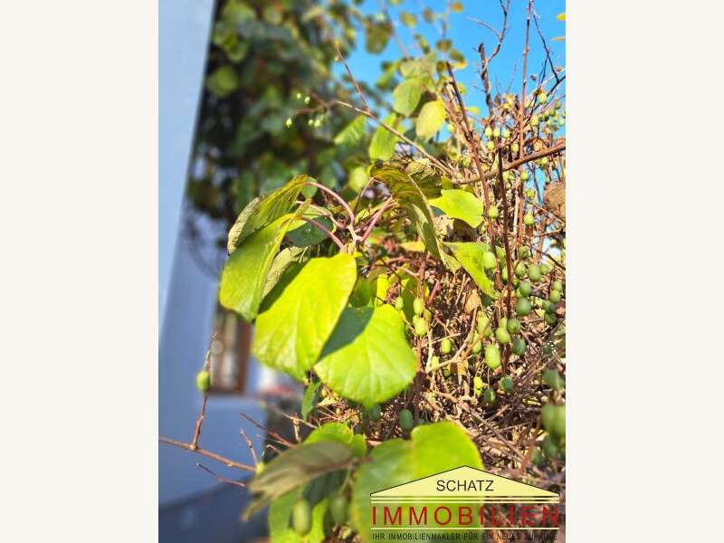 Haus in Weiz - Bild 27 Haus in Weiz - Bild 27