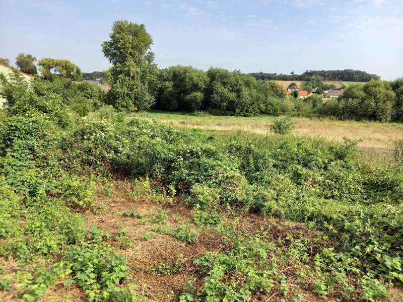 Grundstück in Potzneusiedl - Bild 2