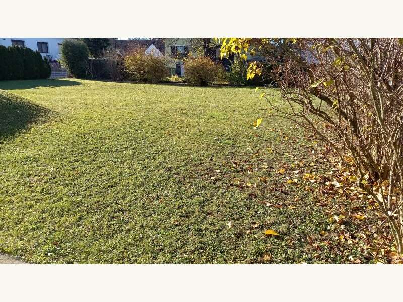 Mehrfamilienhaus in Petronell-Carnuntum - Bild 3