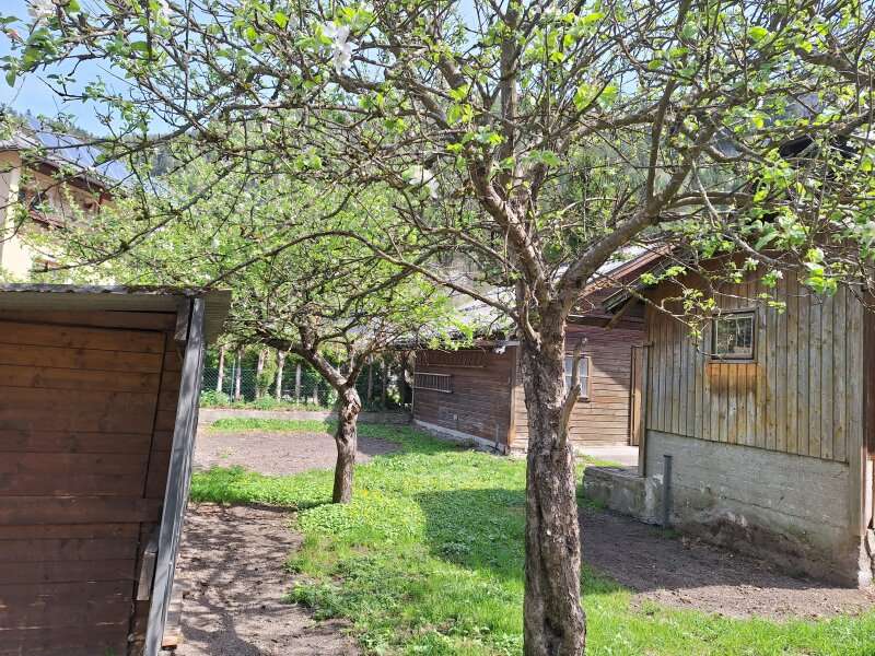 Einfamilienhaus in Schwarzau im Gebirge - Bild 20