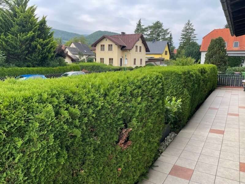 Bungalow in Payerbach - Bild 21