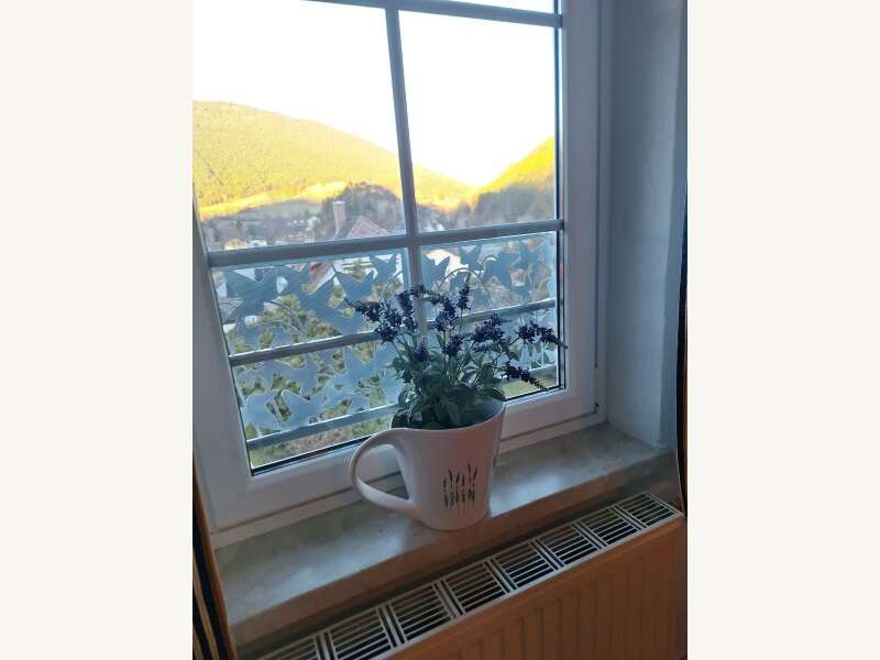 Einfamilienhaus in Puchberg am Schneeberg - Bild 28