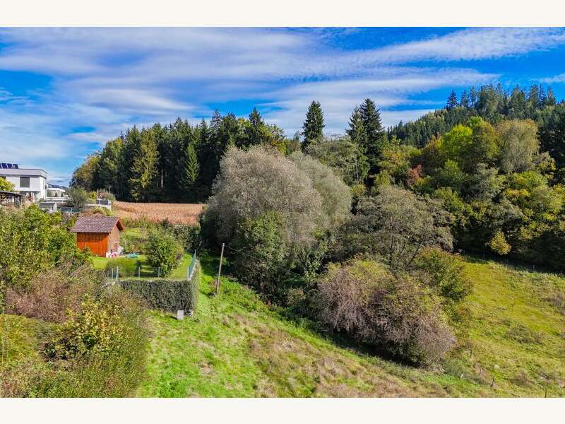 Grundstück in Liebenfels - Bild 9 Grundstück in Liebenfels - Bild 9