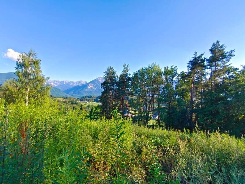 Baugrundstück in Maria Rain - Bild 3