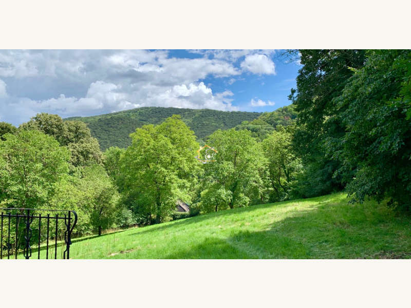 Baugrund in Hinterbrühl - Bild 4