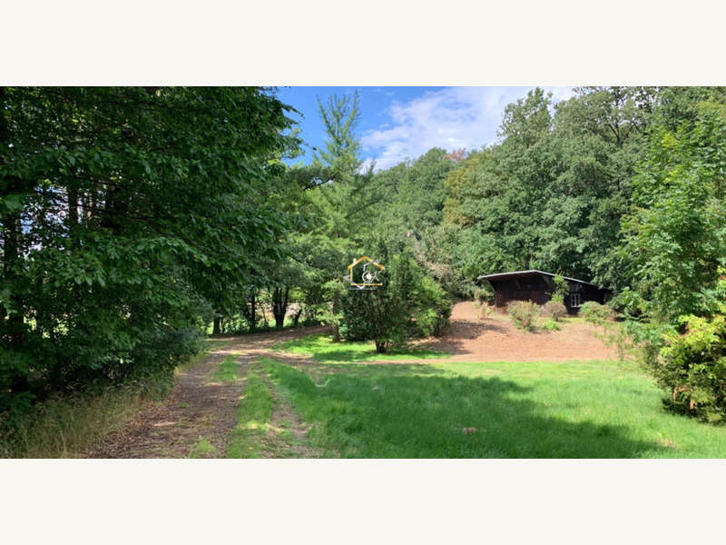 Baugrund in Hinterbrühl - Bild 5