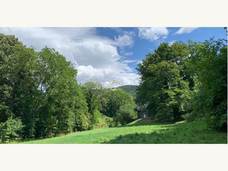 Baugrund in Hinterbrühl - Bild 6