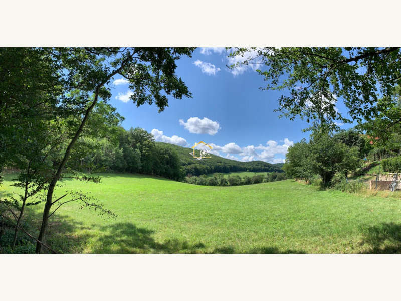 Baugrund in Hinterbrühl - Bild 7